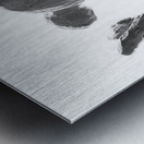 PSX 20250622 090031 Metal print