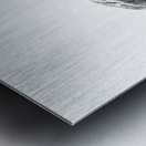 PSX 20241207 104114 Metal print