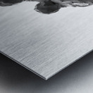 PSX 20250626 174911 Metal print