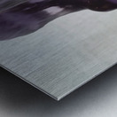 20250416 164044 Metal print