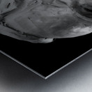 20220429 011205 EDIT Metal print