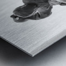 PSX 20250710 184043 Metal print