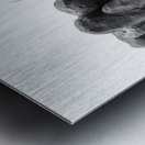 PSX 20250729 154950 Metal print