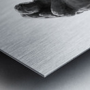 PSX 20250729 154506 Metal print