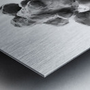 PSX 20250729 154117 Metal print