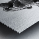 PSX 20250729 154346 Metal print