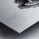 PSX 20250729 160222 Metal print