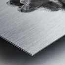 PSX 20250729 155901 Metal print