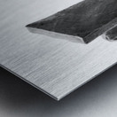 PSX 20250802 180509 Metal print