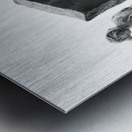 PSX 20250802 181037 Metal print