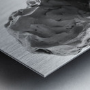 Beloved Companion 1 --- PSX 20250808 180623 Metal print