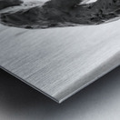 PSX 20250825 121403 Metal print