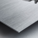 PSX 20250816 122209 Metal print