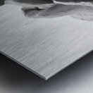 Fools Leap --- 20250915 232324 2 Metal print