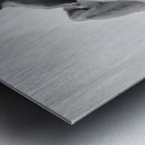 20250915 232218 2 Metal print