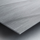 20250917 010606 2 Metal print