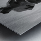 Fools Leap --- 20250915 232258 2 Metal print