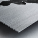 Fools Leap --- 20250915 232227 2 Metal print