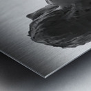 Alouette - 1 Metal print