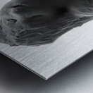 Alouette - 1 Metal print