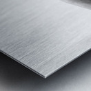 Beloved Companion 2 - 2 Metal print