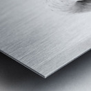 Beloved Companion 2 - 4 Metal print