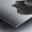 Alouette - 1 Metal print