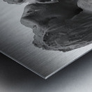 Alouette - 1 Metal print