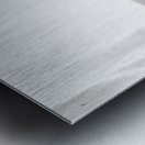 Beloved Companion 2 - 1 Metal print