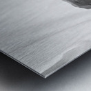 Quiet Mood --- 20251029 074946 2 Metal print