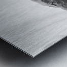 Quiet Mood --- 20251029 074930 2 Metal print