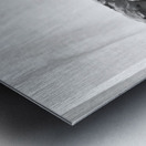 Quiet Mood --- 20251029 075144 2 Metal print