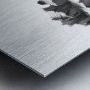 Selva Oscura --- 20251101 225127 2 Metal print