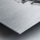 Selva Oscura --- 20251101 225029 2 Metal print