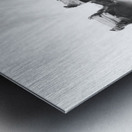 Selva Oscura --- 20251101 225118 2 Metal print