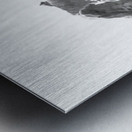 Day of Atonement --- 20251102 232839 Metal print