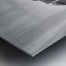 Day of Atonement --- 20251104 074424 Metal print