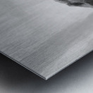 Day of Atonement --- 20251104 074540 Metal print