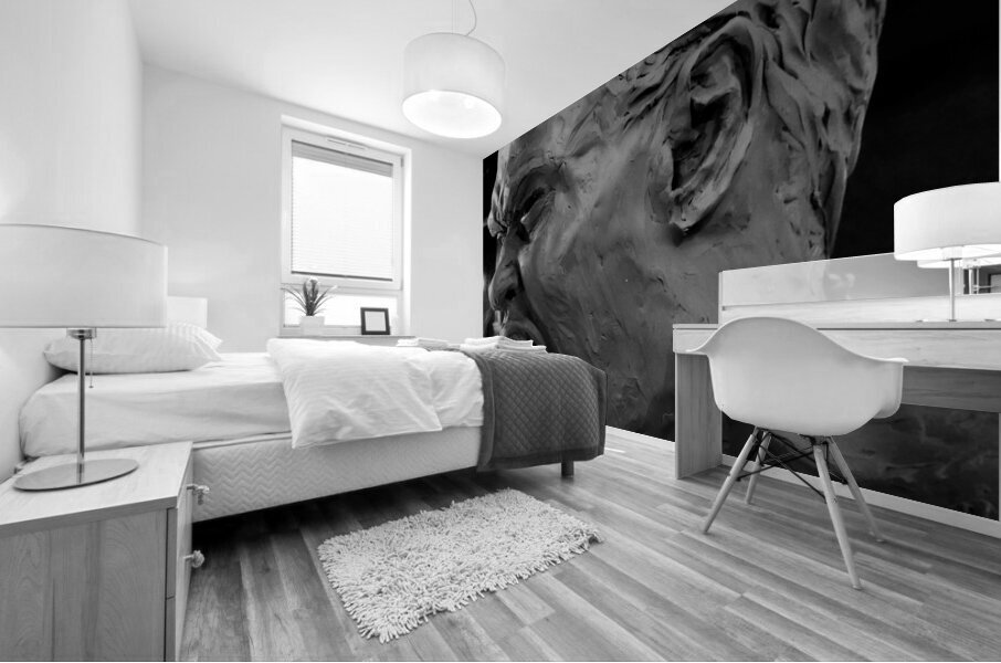 20F1FF 1 Mural print