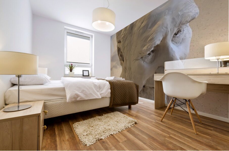 20230817 165055 Mural print