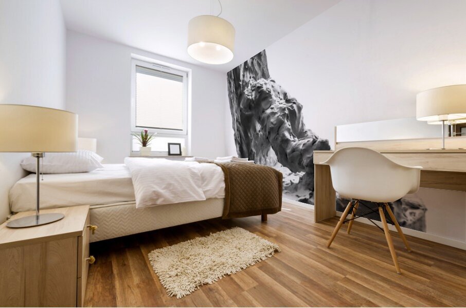 PSX 20250624 224948 Mural print