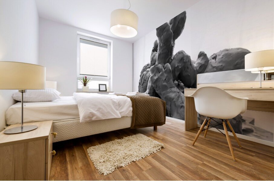 PSX 20250710 183741 Mural print