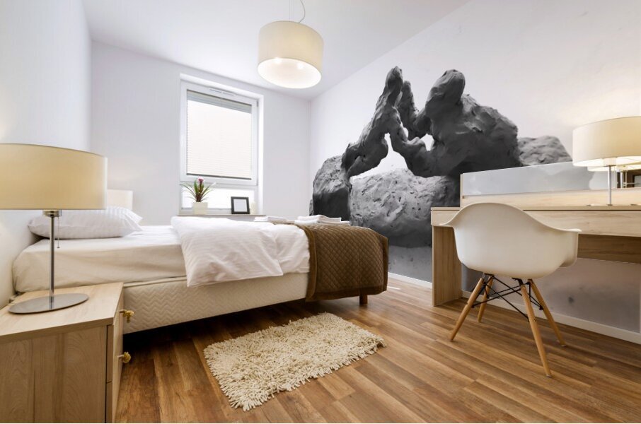 PSX 20250626 171950 Mural print