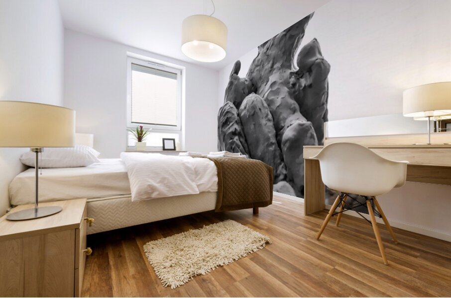 PSX 20250710 184554 Mural print