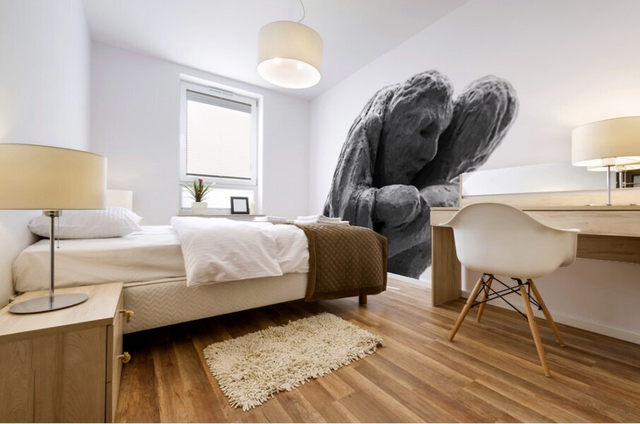 PSX 20241207 104114 Mural print