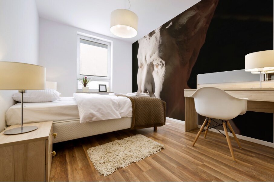 20220803 190543 Mural print