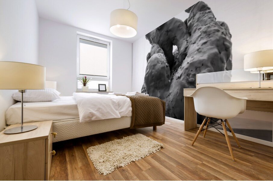 PSX 20250710 184043 Mural print