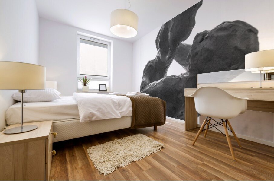 PSX 20250720 234936 Mural print