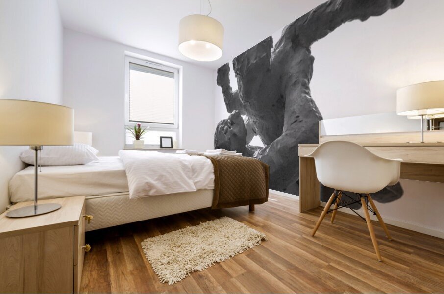 PSX 20250720 231557 Impression murale