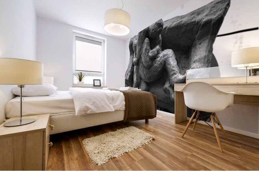 PSX 20250729 154950 Mural print